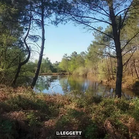 Villa Escapade Isolée Dans Les Bois, Piscine&étangs Brossac
